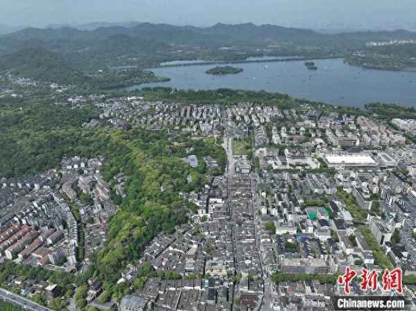 熊掌文化—熊掌文化老板是谁