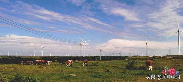 国家能源集团国华投资河北公司,国家能源集团国华投资河北公司是国企吗