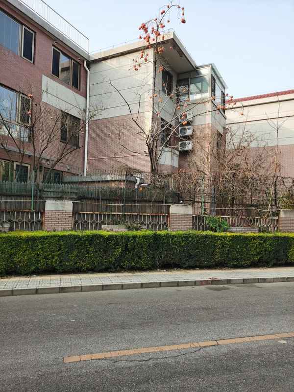 武松打虎讀后感450字作文_武松打虎的讀后感500字左右
