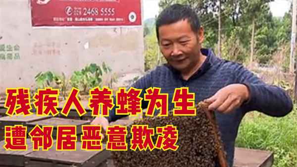 农村自家蜜蜂搬迁补偿-蜜蜂搬家20米左右能自己找到家吗