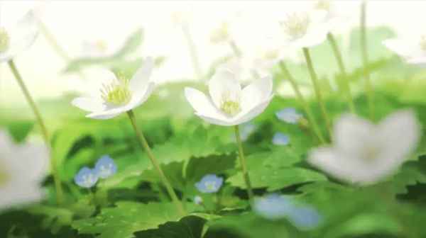 外婆的房产_外婆的房产外孙有继承权吗