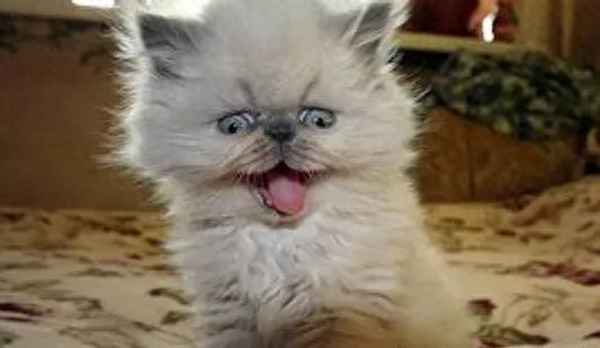 融创北京一号院价格—融创北京壹号院开盘时间