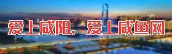 在車行買車有什么風險-在車行買車安全嗎
