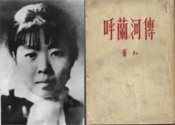 呼蘭河傳筆記圖片,呼蘭河傳閱讀筆記摘抄