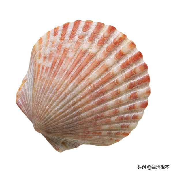 千里送鵝毛 一一歇后語(姜太公釣魚歇后語下一句)