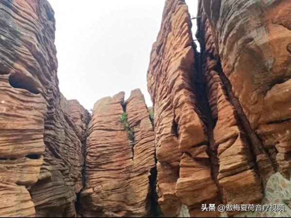 中江石林谷的門票價格是多少,中江石林谷風景區門票價格