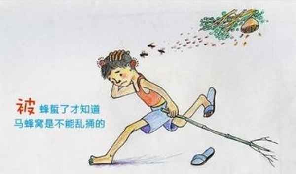 马蜂窝能治什么病吗—马蜂窝能治什么病啊
