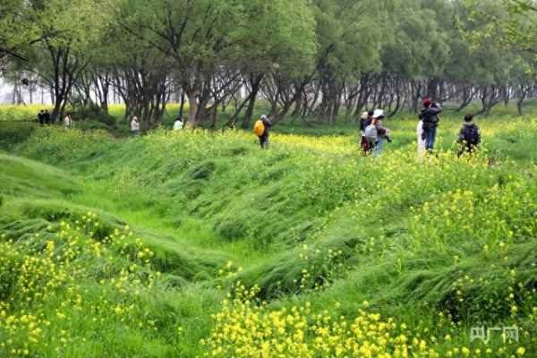 望洞庭的图片和美景;关于望洞庭的图片