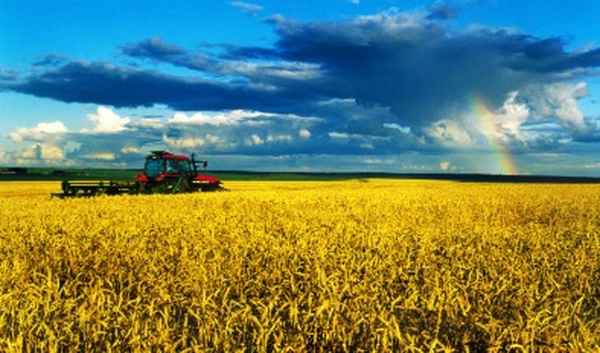 水稻最早发源地是哪个流域