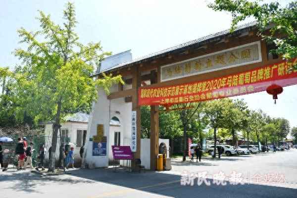 嘉定五个院子的别墅,嘉定五个院子的别墅叫什么