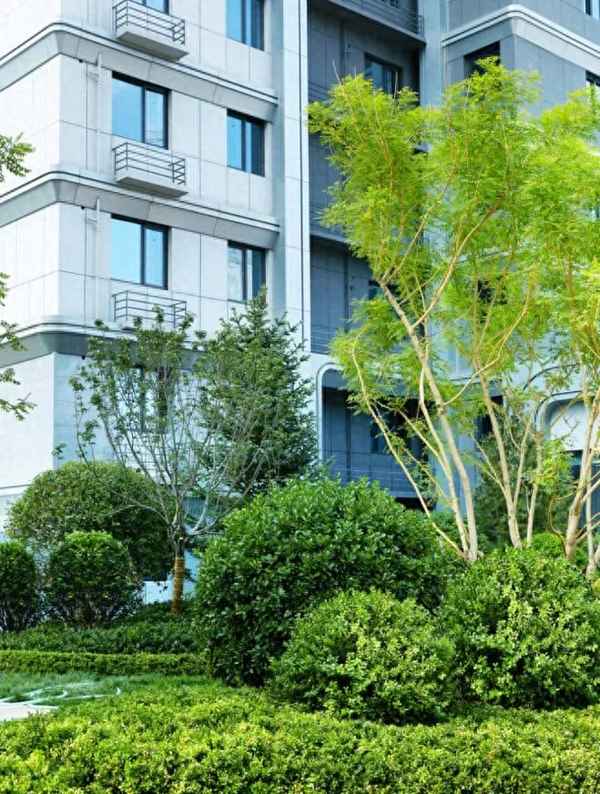 东胜 石家庄时间山交房_石家庄东胜时间山业主群