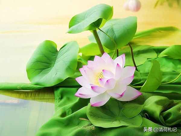 身之所住行止由心—身之所载便是心,意之所在便是物,心物圆融