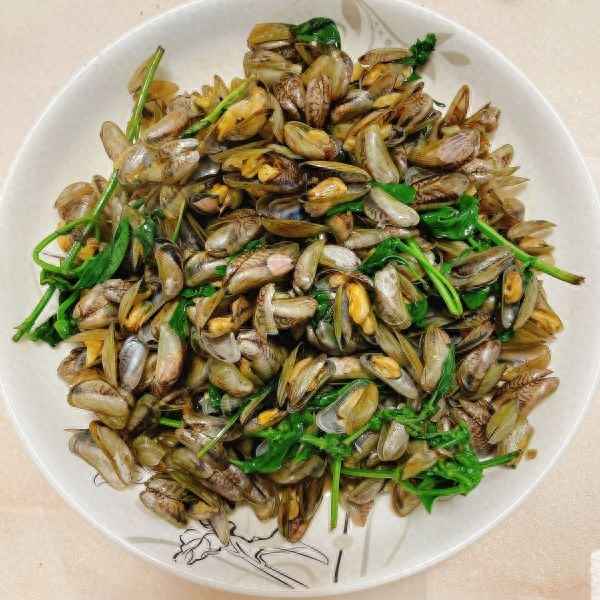 海瓜子的圖片大全_海瓜子的圖片大全集