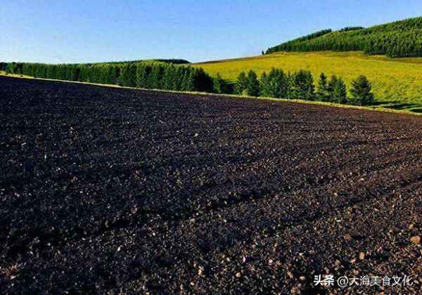 东北土特产都有什么—东北土特产都有什么特产