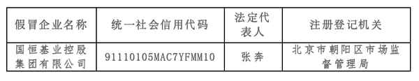 国华企业集团有限公司,国华集团公司简介