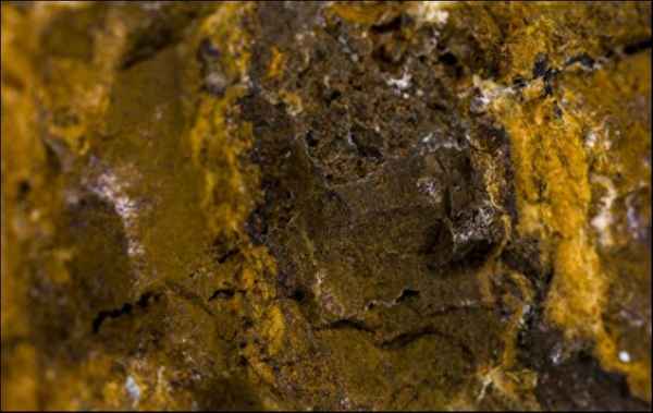 2023川恒股票行情;川恒股吧