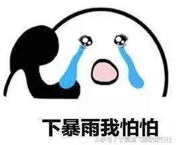 下雨天看电视的正确方式,现在用什么方法看电视