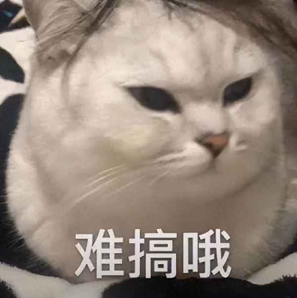 簡單的旁邊有菜的四川火鍋(火鍋旁邊的菜怎么畫)
