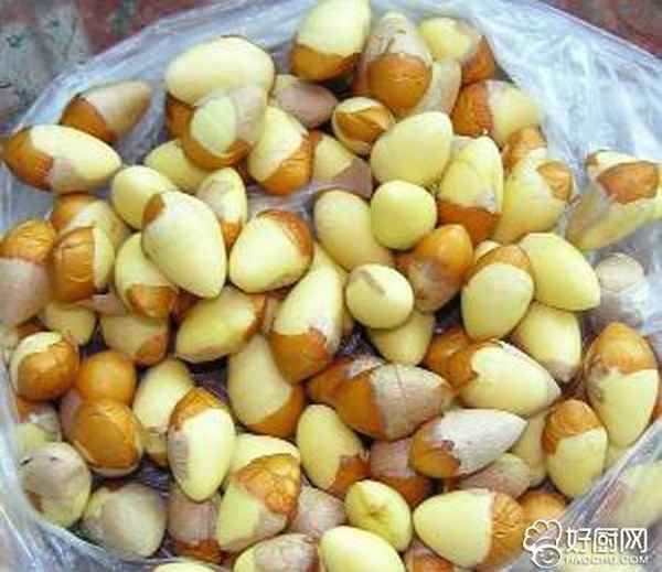 生白果怎么處理去殼;生白果怎么處理去殼的