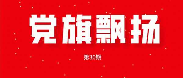 黨建三縱三橫具體是什么、三縱三橫的含義