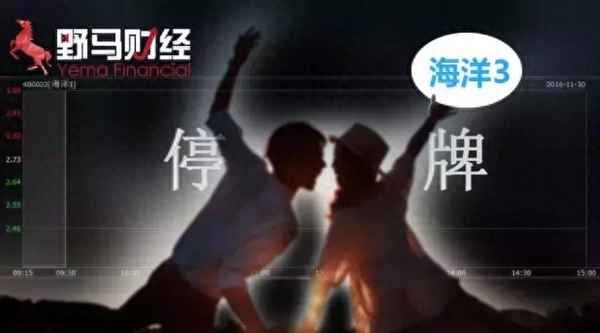 三板市场海洋集团股吧_海洋3股票什么时候上市