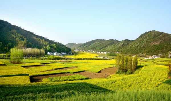 财经理论与实践杂志、财经理论与实践杂志怎么样