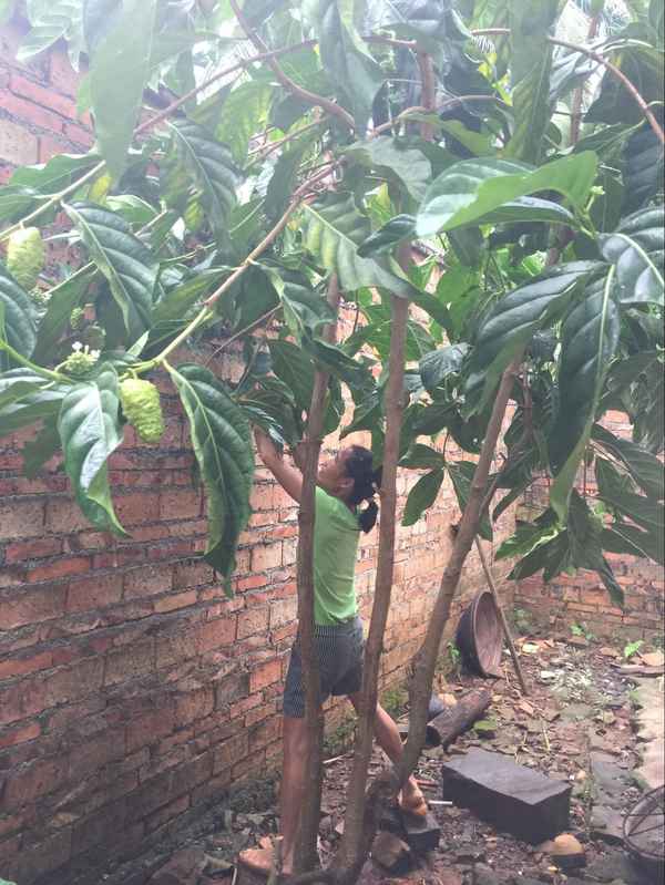 三亚民居短期出租—三亚民房出租多少钱一个月