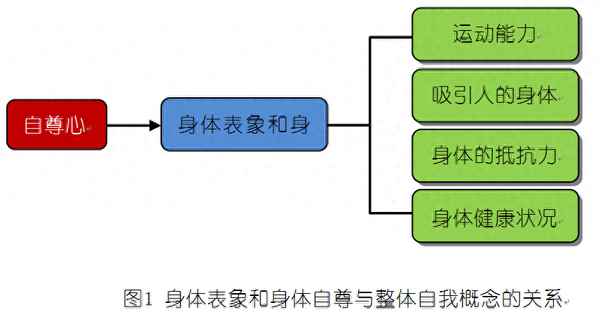 體育鍛煉與健康的關(guān)系;淺談體育運動與健康的關(guān)系