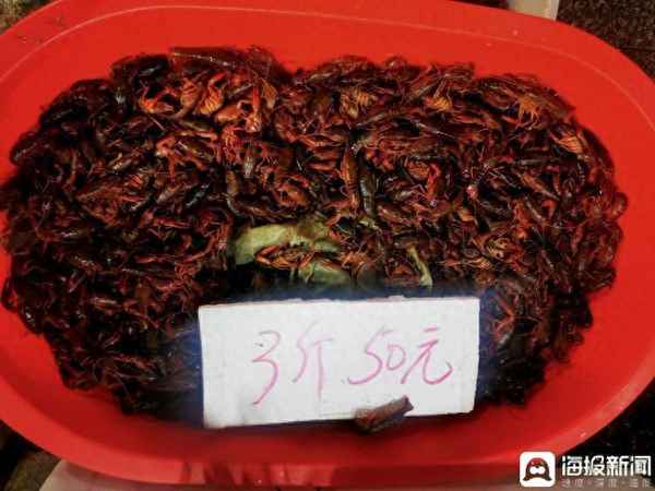 麻虾财经_麻虾啥意思