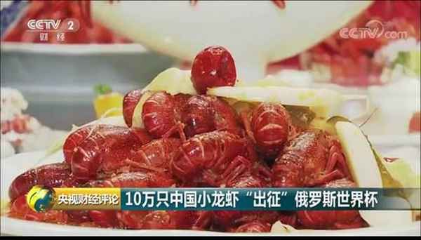 世界杯财经、世界杯实时播报