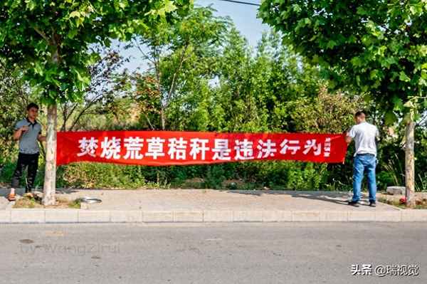 糧食生產標語大全—生產質量標語
