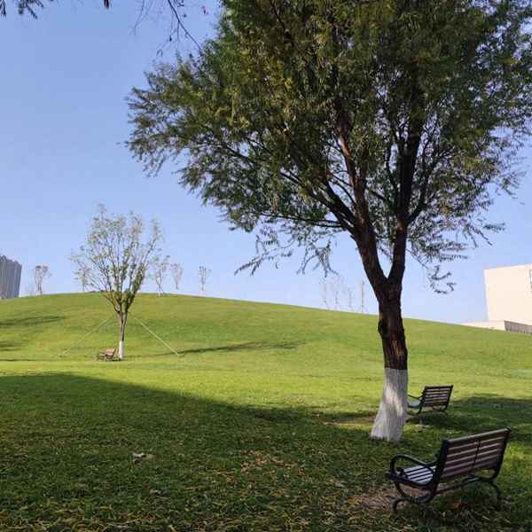 济南单身公寓租房_济南单身公寓租房子多少钱