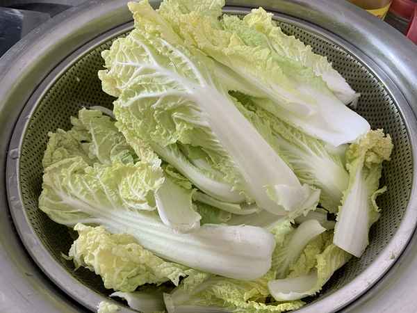 爽口白菜怎么做好吃又簡單_最好吃的白菜做法大全