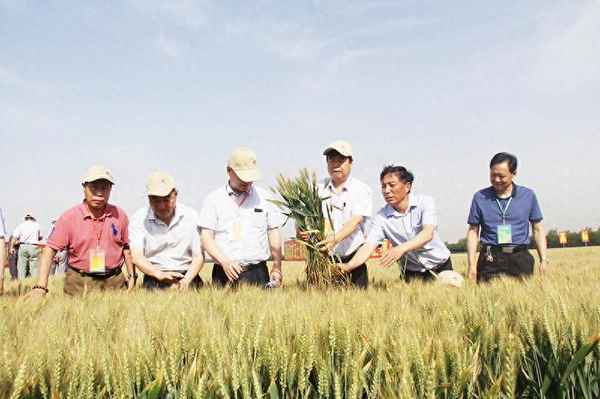 项目土地存在的问题与不足-土地整理项目存在的问题