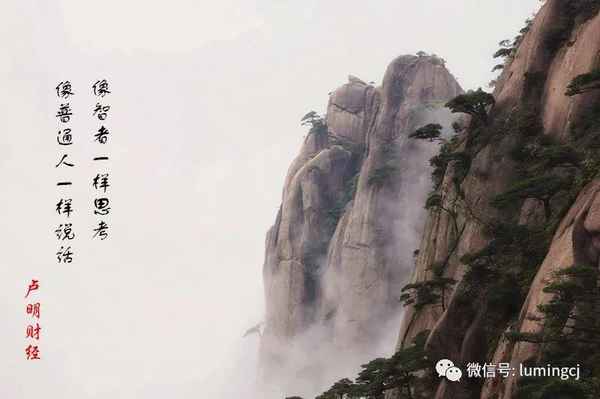 卢明财经—163卢明教授