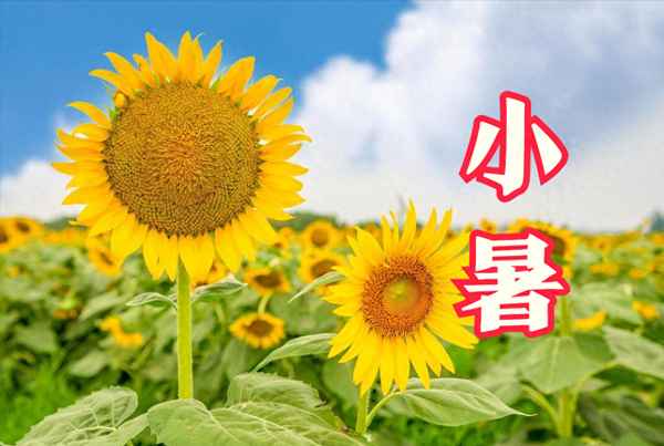 大暑時節的天氣特點—帶有24節氣天氣預報
