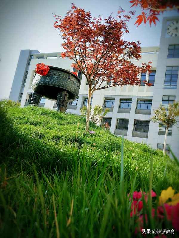 小学校园文化建设(小学校园文化建设论文)