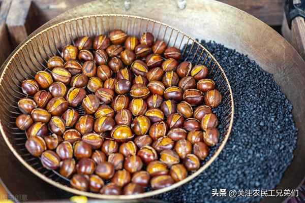 一斤糖炒栗子有幾個(gè)(吃了一斤栗子怎么辦)