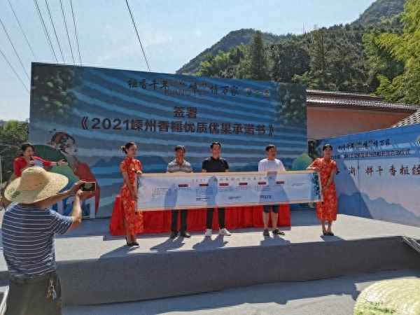 2021年香榧多少錢一斤—2020香榧多少錢一斤