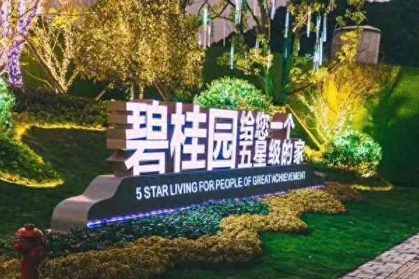 房地产三巨头是指什么、房地产三巨头是指什么意思