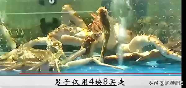 3斤活帝王蟹价格_3斤活帝王蟹价格多少