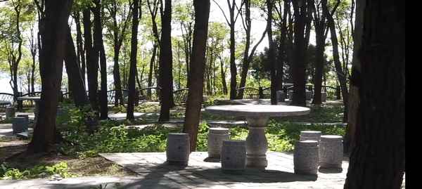 老虎石海上公園攻略—老虎石和鴿子窩哪個好玩