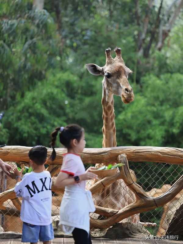 昆明野生動物園地址在哪里;昆明帶孩子必須去22個地方