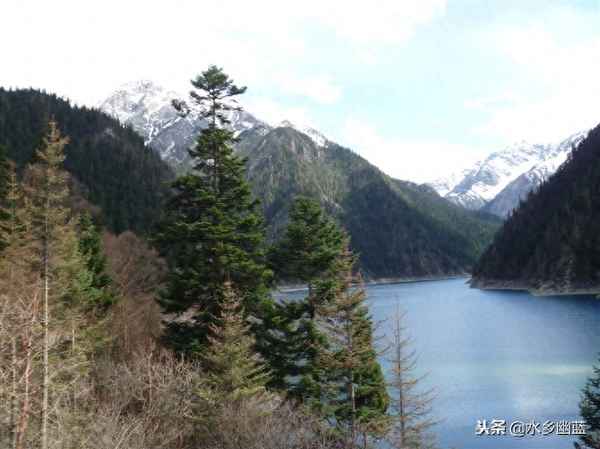 寫九寨溝的作文開頭、寫九寨溝的作文題目