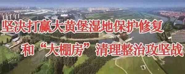 浏阳碧桂园观园最新进展,浏阳碧桂园万锦棠湾