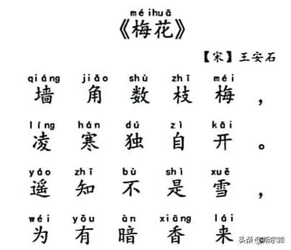 二年级上册梅花古诗(二年级上册梅花古诗怎么写)