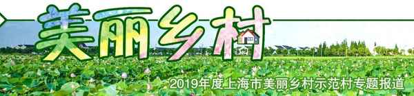 嘉定有几个独栋别墅区_上海嘉定别墅区