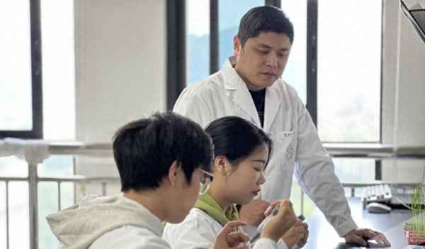 杂交水稻属于基因工程吗;杂交水稻是生物工程吗