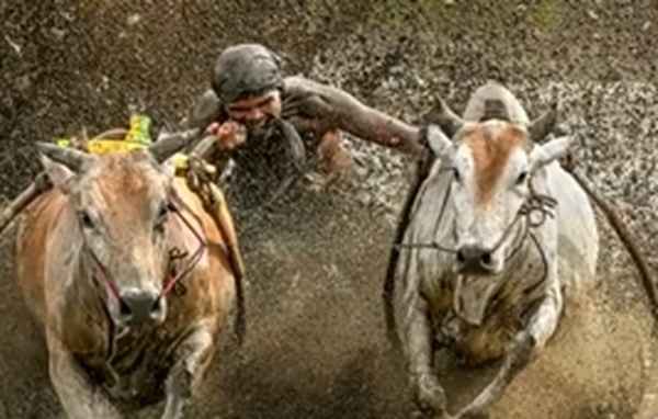 只愿君心似我心,定不负相思意,只愿君心似我心,定不负相思意怎么接