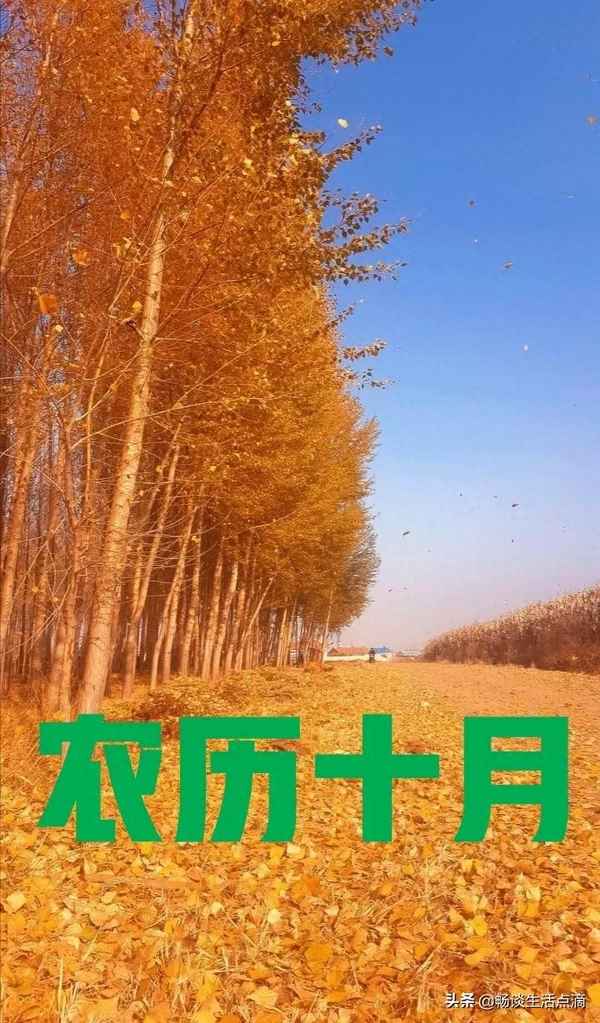 有關自然現象的彥語_有關自然現象的名言警句